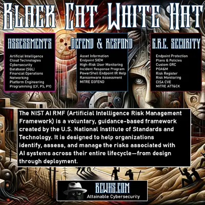 Black Cat White Hat Security