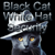 Black Cat White Hat Security