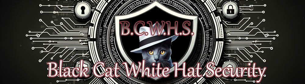 Black Cat White Hat Security