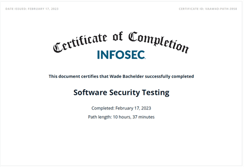 Software Security Testing