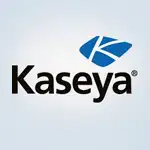 Kaseya (BMS, Spanning, and VSA)