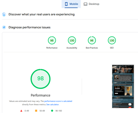 PageSpeed Results Mobile